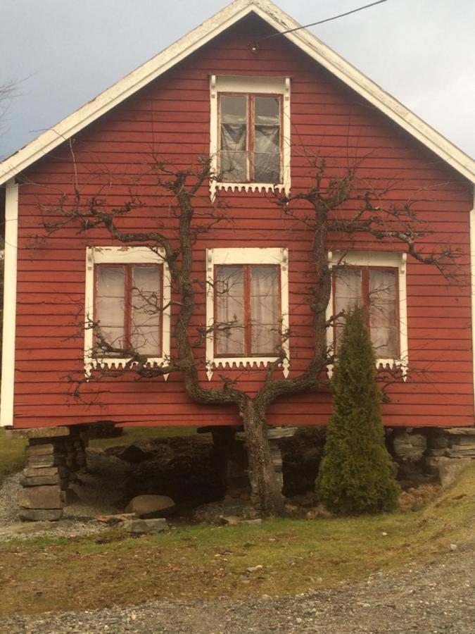 Line Pa Hauane1 Bed & Breakfast Volda Exterior photo