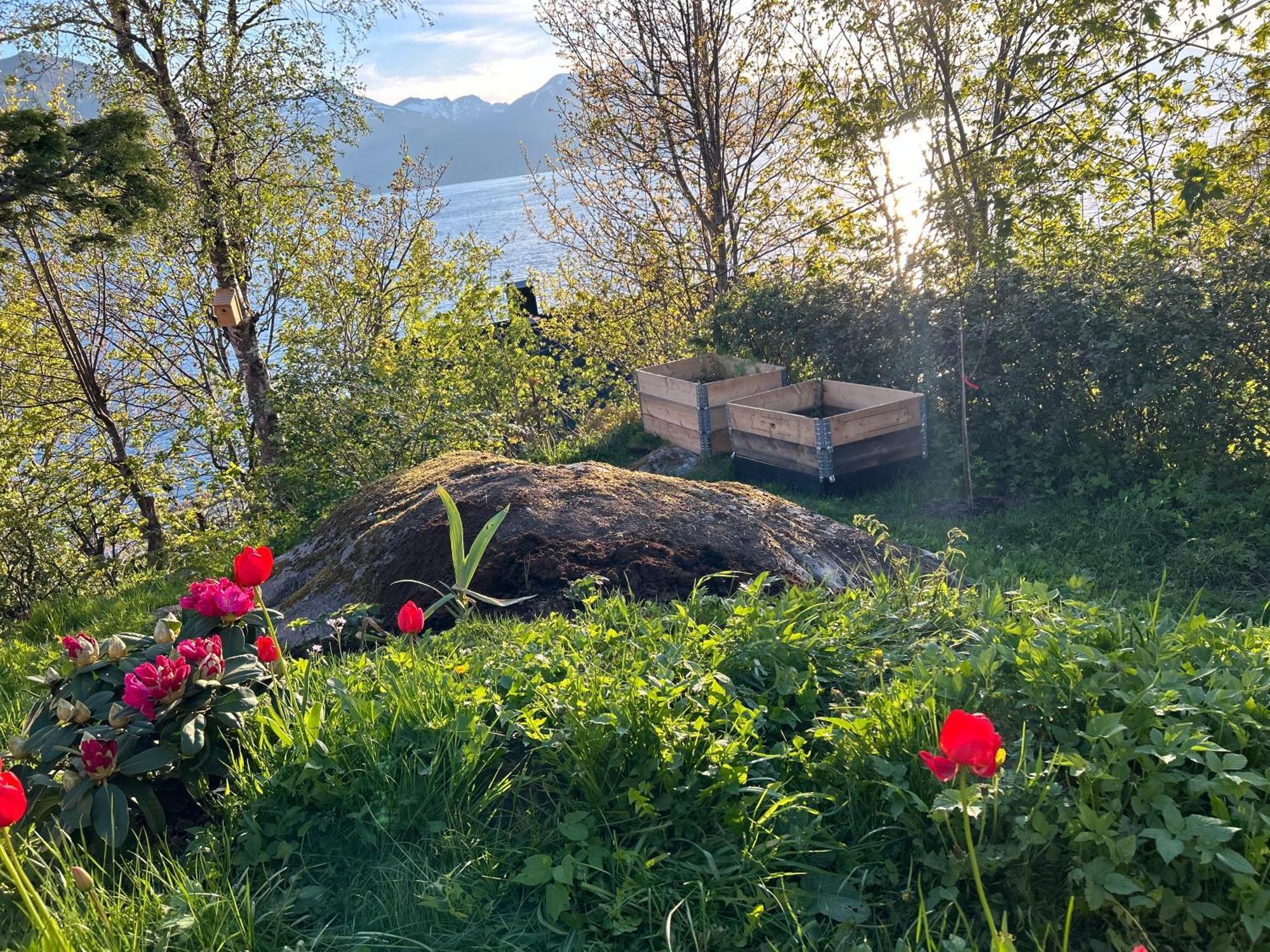 Line Pa Hauane1 Bed & Breakfast Volda Exterior photo
